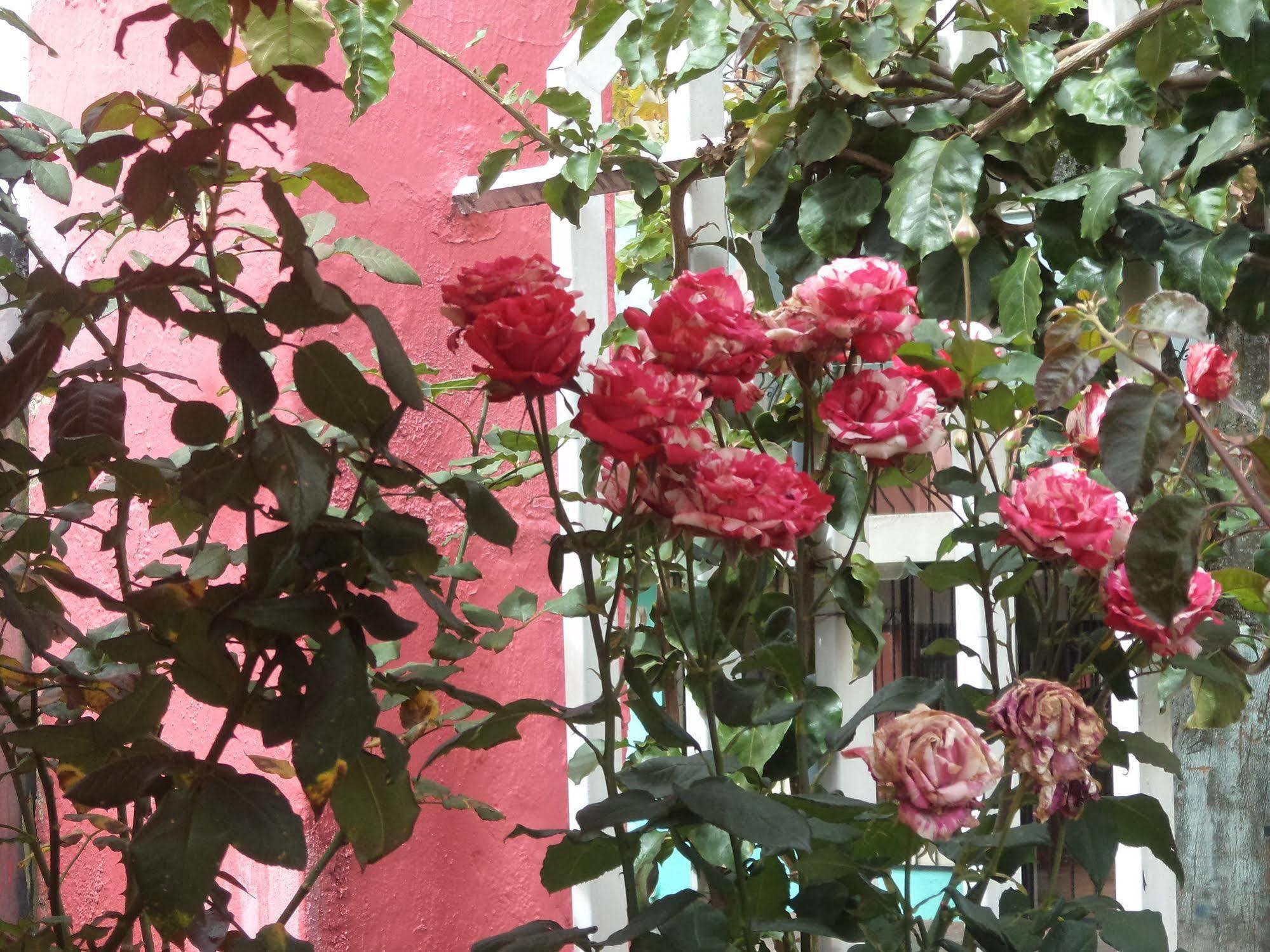 Hostal Imperial Quito Extérieur photo